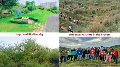 NIIT University (NU) unveils Sustainability Impact Report 2024