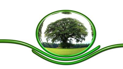 World Nature Conservation Day 2024: A Call to Action for Our Planet's Future