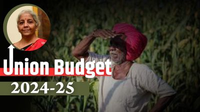 Budget 2024-25: One Crore Farmers to Get Trained in Natural Farming Practices