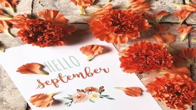 Important Days and Dates in September 2024, Check the Holiday List