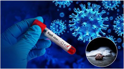 Kerala's Nipah Virus Outbreak: Schools and colleges in these wards of Malappuram district are closed