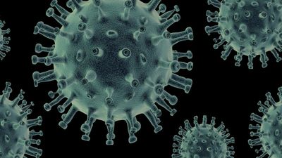 Top 10 Viral Diseases You Should Be Aware Of: Common Causes and Sources