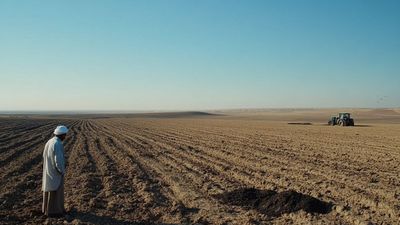 Exploring the Agricultural Importance of Black Soil in the Deccan Plateau