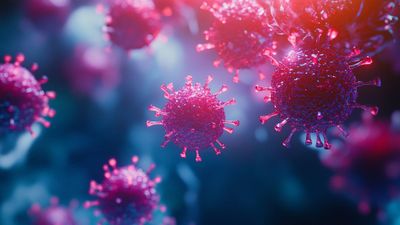 Which infectious disease is likely to be biggest emerging problem in 2025?