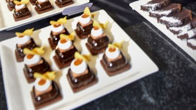 IIHM Expands With IIHS In Udaipur To Enhance Hospitality Skills Training