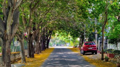 What Are Some ‘It Happens Only in Bangalore' Things?