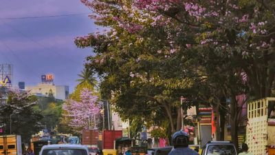 How is Life in Bangalore City for Students?