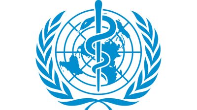 WHO Global Internship Programme: Application Process, Eligibility, Benefits and more