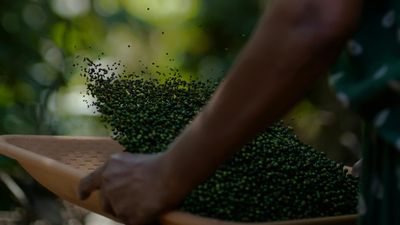 Which Indian State is Known as the 'Spice Garden of India'?