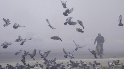 How Warm or Cool is Bangalore on January 11, 2025?