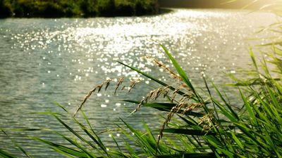 Which Indian State is Known as the 'Land of Five Rivers'?