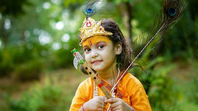 Vishu Festival 2025: Short, Medium & Long Essays for Students in English