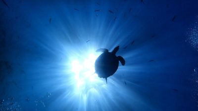 Which Indian State is Famous for Black Water?