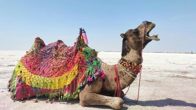 Which Indian State is Known for the White Desert?