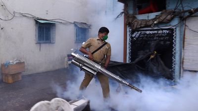 World Malaria Day: Unite to Eliminate Malaria Globally