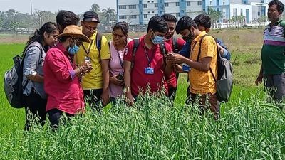 Career Prospects in B.Tech Agricultural Science in 2025
