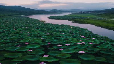 Himalayan & Peninsular Rivers – Origin, Features & Key Tributaries