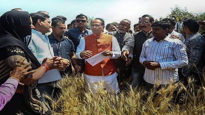 RSMSSB Rajasthan Patwari Answer Key 2025 Released at rssb.rajasthan.gov.in: Direct Link to Download