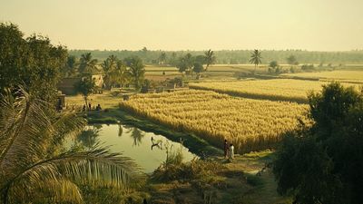 Thought for the Day - 23rd December: National Farmers’ Day