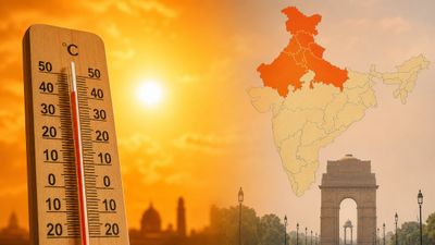 Feeling the Burn? Why the Heat Index is More Dangerous Than You Think