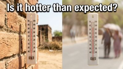 Feeling the Burn? Why This IMD Heatwave Warning Is Different This Year