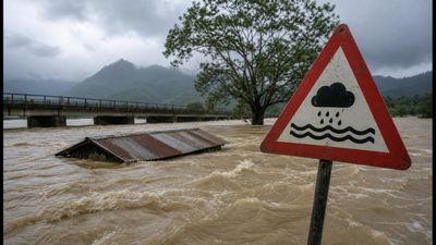 Facing the Assam Flood Crisis 2026: Essential Safety Rules Every Student Must Know