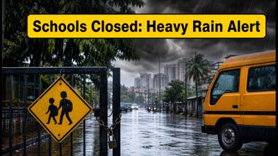Navi Mumbai Schools Shut: NMMC Declares Afternoon Holiday Due to Heavy Rain
