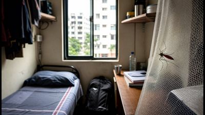 Monsoon Health Alert: The Dangerous Dengue Myths Every Student Must Stop Believing