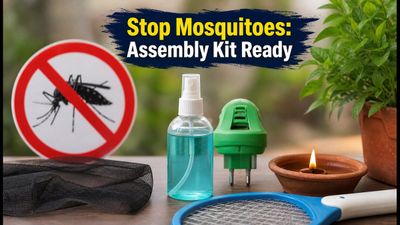 Beat the Monsoon: World Mosquito Day 2026 Assembly Kit, GK Quiz, and Prevention Tips