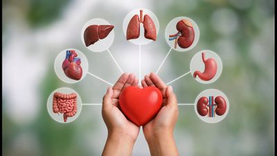 World Organ Donation Day 2026: The Life-Saving Truth About Pledges Every Student Should Know