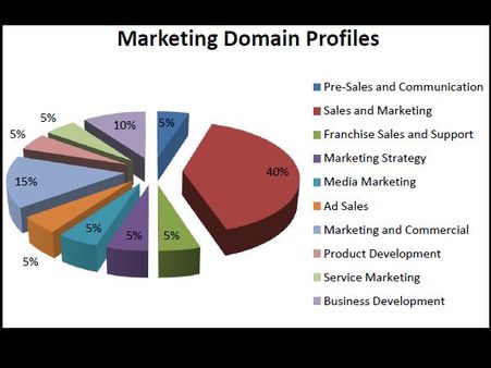 Final Placement Report 2013