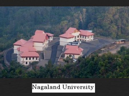 17. Nagaland University