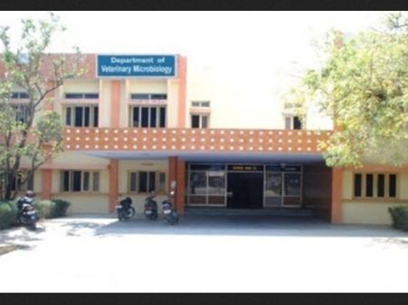 veterinary colleges of TANUVAS