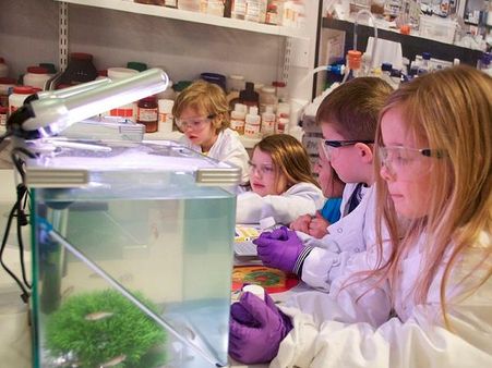 EISF 2013 To be held in Bangalore