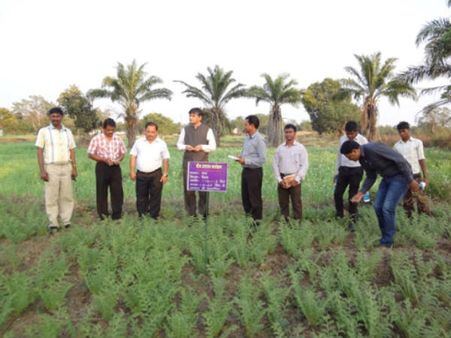 Indira Gandhi Krishi Vishwavidyalaya , Chhattisgarh