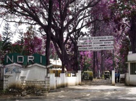 National Dairy Research Institute, Karnal