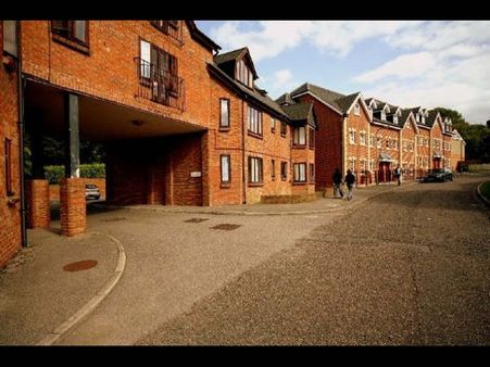 The University of Buckingham