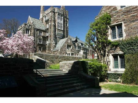 Princeton University