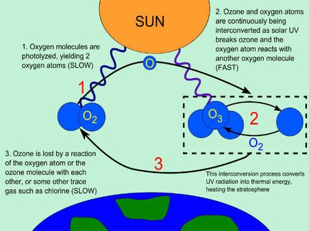 Ozone layer formation