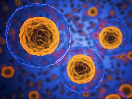 Industrial Microbiology