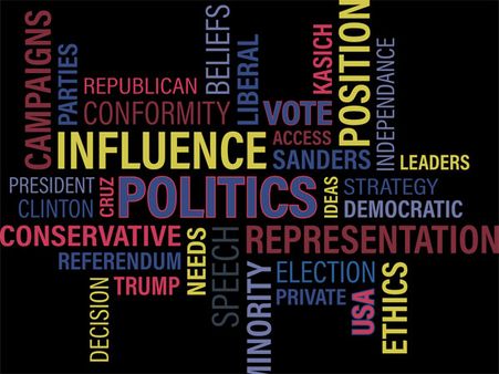 Political Consultant