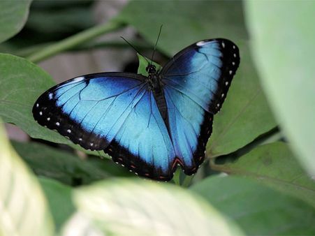 Important Topics In Biology