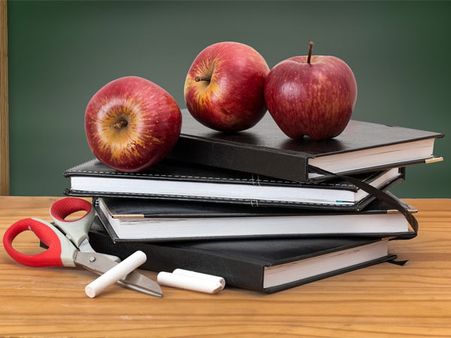 Solve Previous Years' Questions Papers