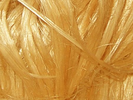 Golden Fiber Revolution