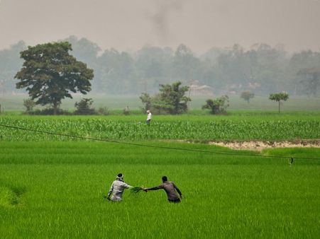 Green Revolution In India