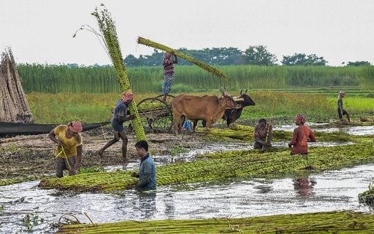 Doubling Farmers Income