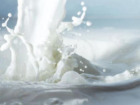The Solution: Digitalisation in the Dairy Sector 