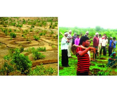 Recognizing the Rural Women by Celebrating the International Da