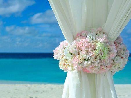 Wedding expense up to 1 crore