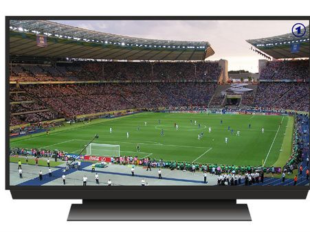 ಜತೆಯಾಗಿ ಟಿವಿ: